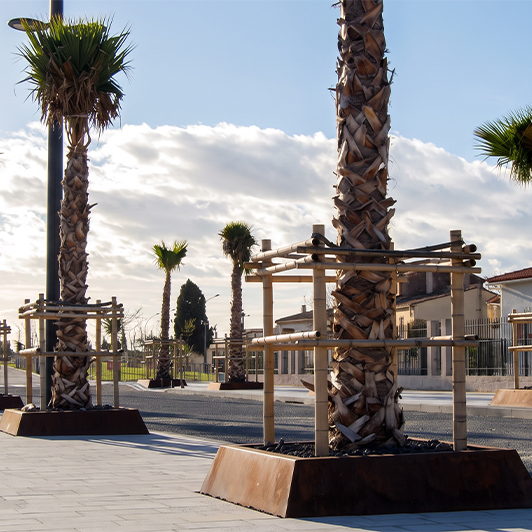 Réalisations en acier Corten au Maroc avec bordures métalliques installées autour de palmiers dans un aménagement urbain contemporain